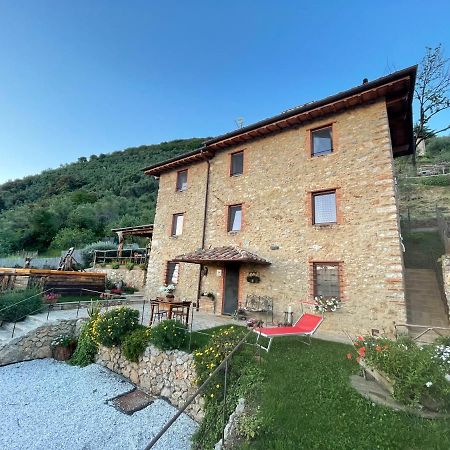 B&B Il Volo Camaiore Buitenkant foto