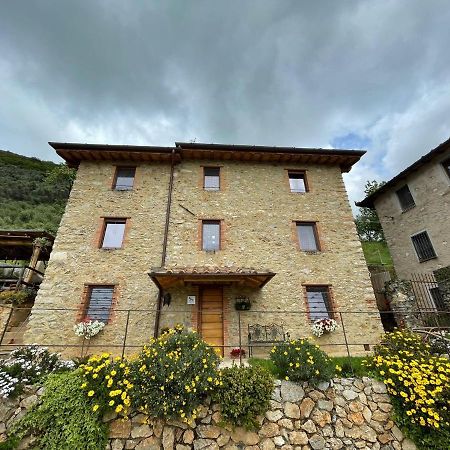 B&B Il Volo Camaiore Buitenkant foto