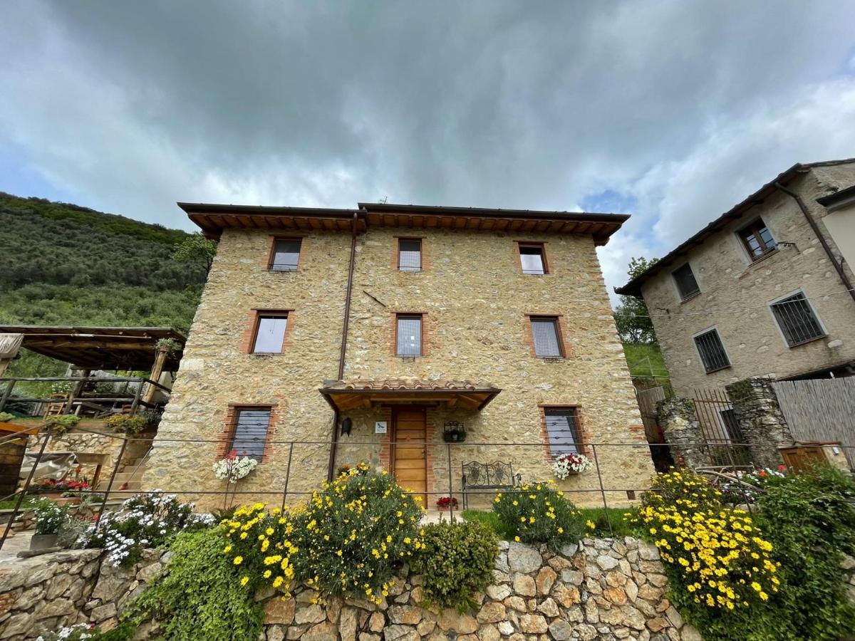 B&B Il Volo Camaiore Buitenkant foto