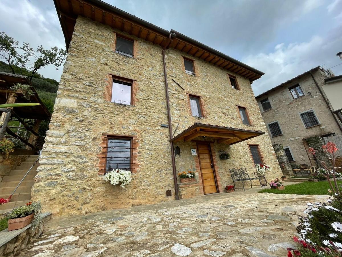 B&B Il Volo Camaiore Buitenkant foto