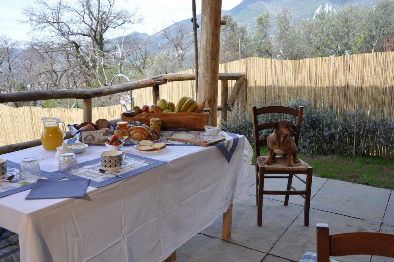 B&B Il Volo Camaiore Buitenkant foto
