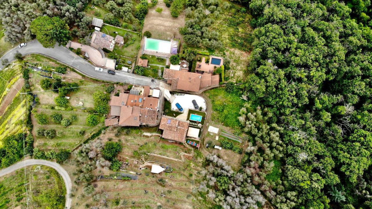 B&B Il Volo Camaiore Buitenkant foto
